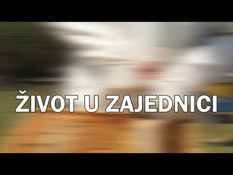 ZANIMLJIVOSTI IZ SVETA PČELA BR.1 ŽIVOT U ZAJEDNICI