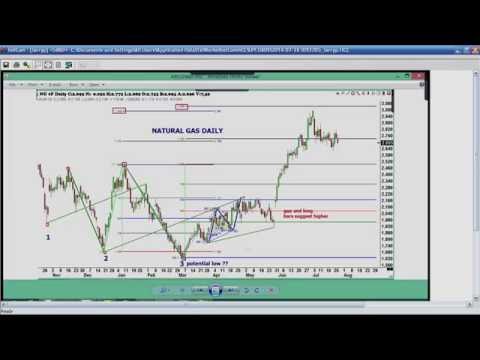 July 26th Trade What You See with Larry Pesavento on TFNN - 2016