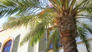 Other People&#39;s Lives - Modest Mouse (FAN VIDEO)