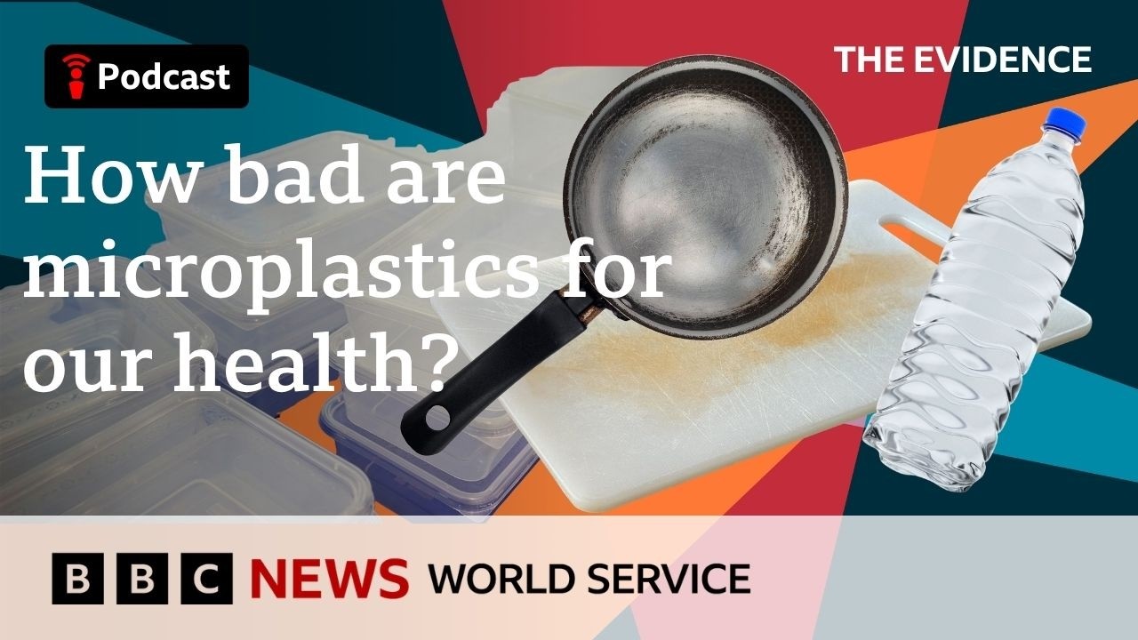 Scientists detect microplastics in human brain tissue, gut, and blood, raising health questions