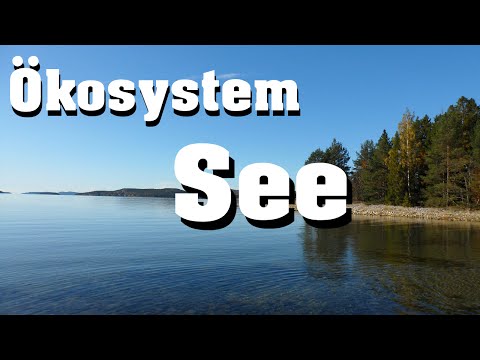 Ökosystem See - Jahreszeitlicher Verlauf