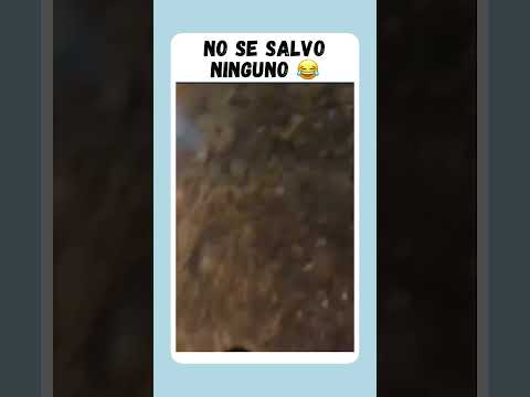 No se salvo ninguno😂 #argentina #humor #estoesargentina #comedia #humorargentino #memes #risa