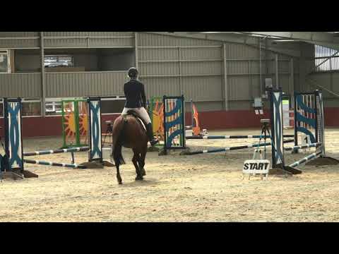 Gunner 60cm SJ 2.8.2020