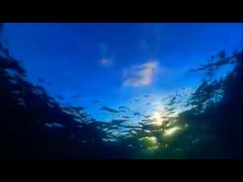 Eu tenho que orar!letra♥️