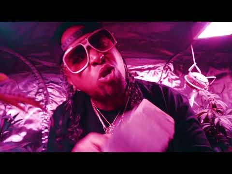 Attract Snakes · West West · Billy Shmack