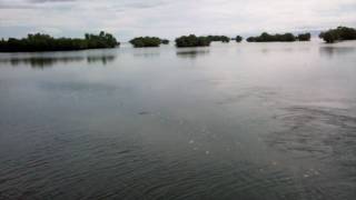 preview picture of video '2010/06/15: Sandingan Island: Dam to Bohol Island'