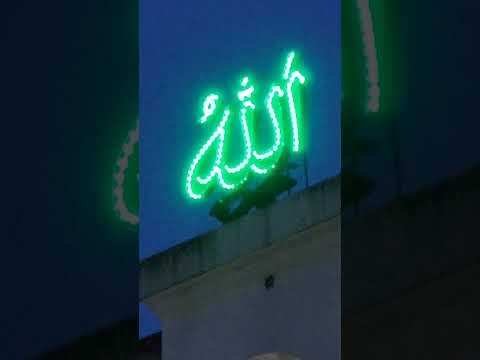 #cat #love #whowillbemylifepartnerta #hindisong #islam