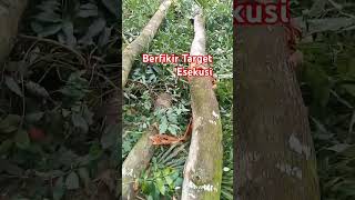 Download lagu #motivasi #berfikir #target #esekusi #berkelas #beranda #pejuang # mp3