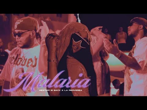 Mestizo Is Back Ft La Perversa - MALARIA (Video Oficial)