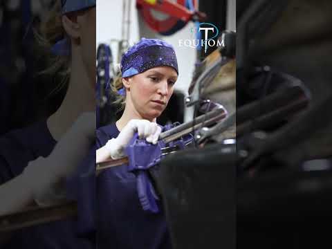 Extraction d’une très grosse dent chez ce cheval 🦷