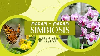 Macam Macam Simbiosis Mutualisme Komensalisme Parasitisme, Pengertian Dan Contoh Simbiosis Mapel IPA