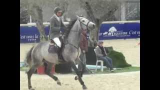 Video koně Cyrano D'Orbri