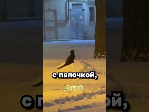 Важнейшая новость на сегодня