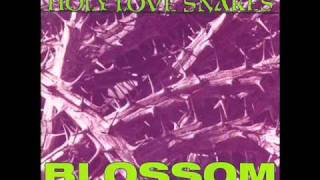 Holy Love Snakes - super fishy all