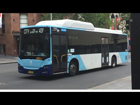 Adam's Trains Vlogs: Transit Systems Leichhardt BYD K9RA Gemilang ECO m/o 8105 (431 to Martin Place)