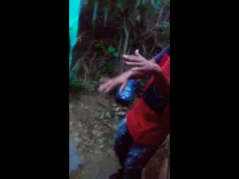 EL POLEMICO -  DANDO COTORRA FREESTYLE #2