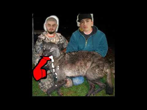 Skip x Ronin - Inca E OK