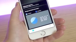 iPhone 6s Chipgate?