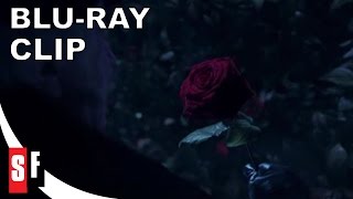 Beauty and the Beast [French with English Sub] - Clip 7: The Rose (HD)