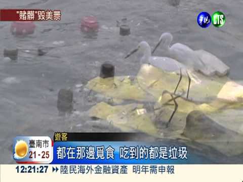 東港堤防變賭場 釣客菸蒂亂丟海