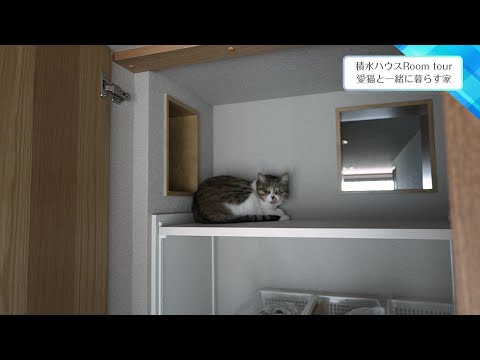 2023年4月14日(金)放送 第19回 愛猫と暮らす家