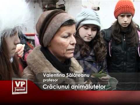Crăciunul animăluţelor