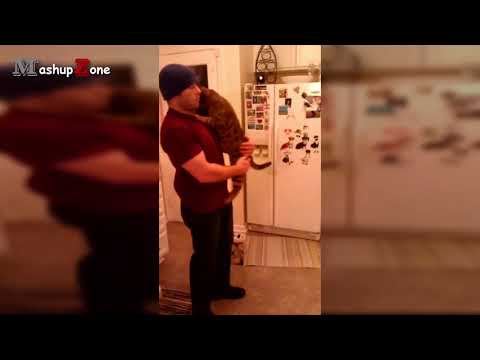 Funny Cats Jumping Into Owner's Arms Compilation    NEW HD