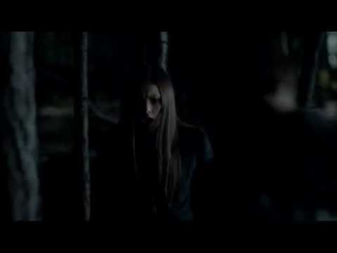The Vampire Diaries 4x11 Delena "I love you and you love me"