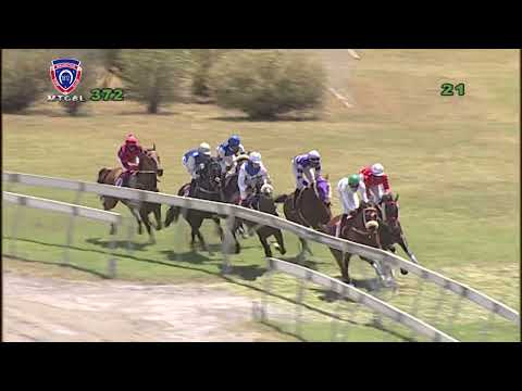 RM37 R2 | Well Connected | R.Bheekary