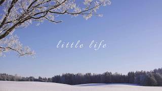 this beautiful little life | a piano playlist