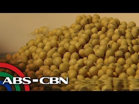 Siberian dietary supplements para sa pagbaba ng timbang Na parehong nawala timbang sa binti review