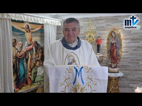 "Convierte tu Dolor en Colaboración con la Redención" | Homilía, Nuestra Señora de los Dolores (15-09-2026) | P. Santiago Martín, FM