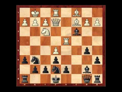 Vol. 119 Foxys Anti Gambit guide 1.e4