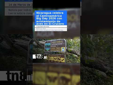 Nicaragua celebra el Centroamérica Big Day 2026 con avistamiento de aves en El Crucero