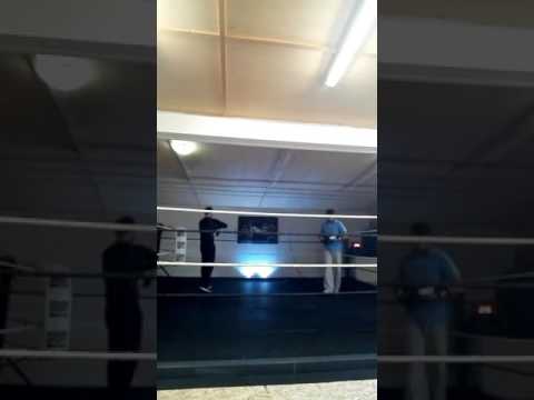 Pratzenarbeit im  Proffesional Boxing Club