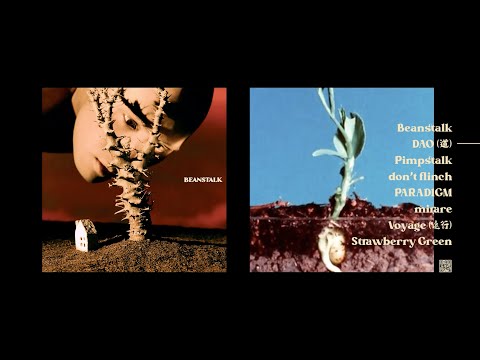 YELLOW黃宣 - BEANSTALK (Full Album Visualizer)