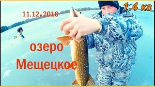 Рыбалка на жерлицы по витебской области
