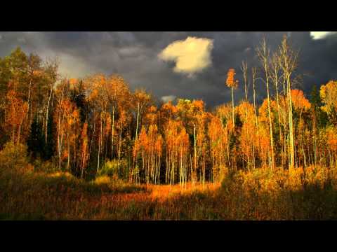 Janet Baker - Brahms - Alto Rhapsody, Op 53 - Boult