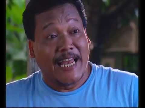 FTV HIDAYAH - Ribuan Lebah Bersarang Di Wajah