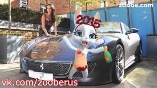 Просто хвастаюсь - Zoobe Зайка