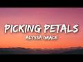 Alyssa Grace Picking Petals Lyrics