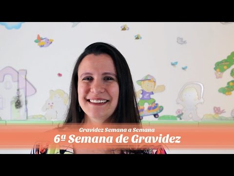 6ª Semana de gravidez