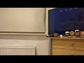 Closing To SCOOB 2020 UK DVD