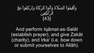 30. And [mention, O Muhammad], when your Lord said to the angels, "Indeed, I will make upon the earth a successive authori...