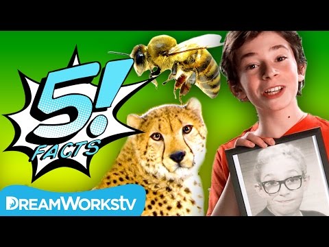 5 Best MOMS In The Animal Kingdom | 5 FACTS