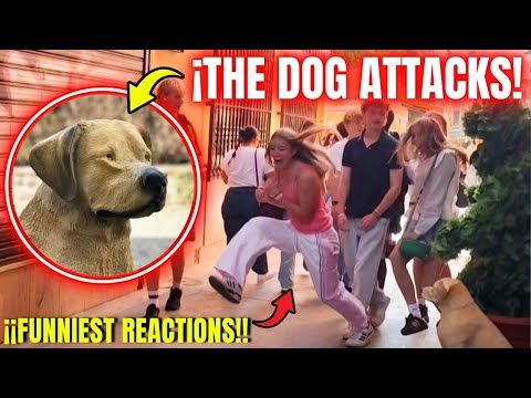 SCARING Prank That Had Them SCREAMED & LAUGHY | #bushman_prank