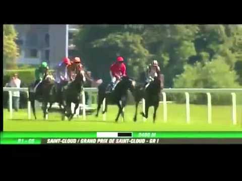 2011 Grand Prix de Saint- Cloud