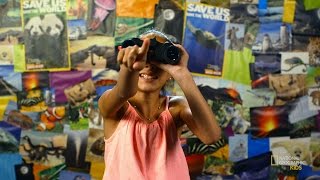 All Kinds of Birds Videos: See You Next Time! | Nat Geo Kids Birds Playlist