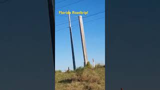 florida road trip! #music #calmdown #roads #cool #travel