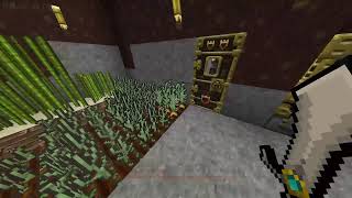 [お久しぶりのマイクラ]Minecraft アドオン世界を行く!![にゃんくらじお]